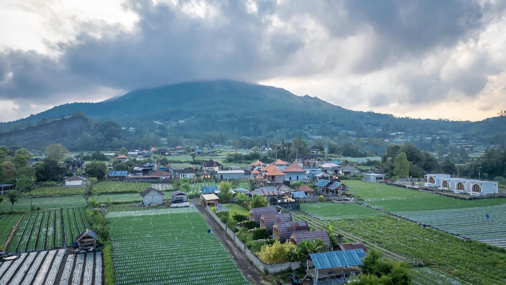 Tegal Bamboo Cottages & Private Hot Spring Baturaja  Exterior foto