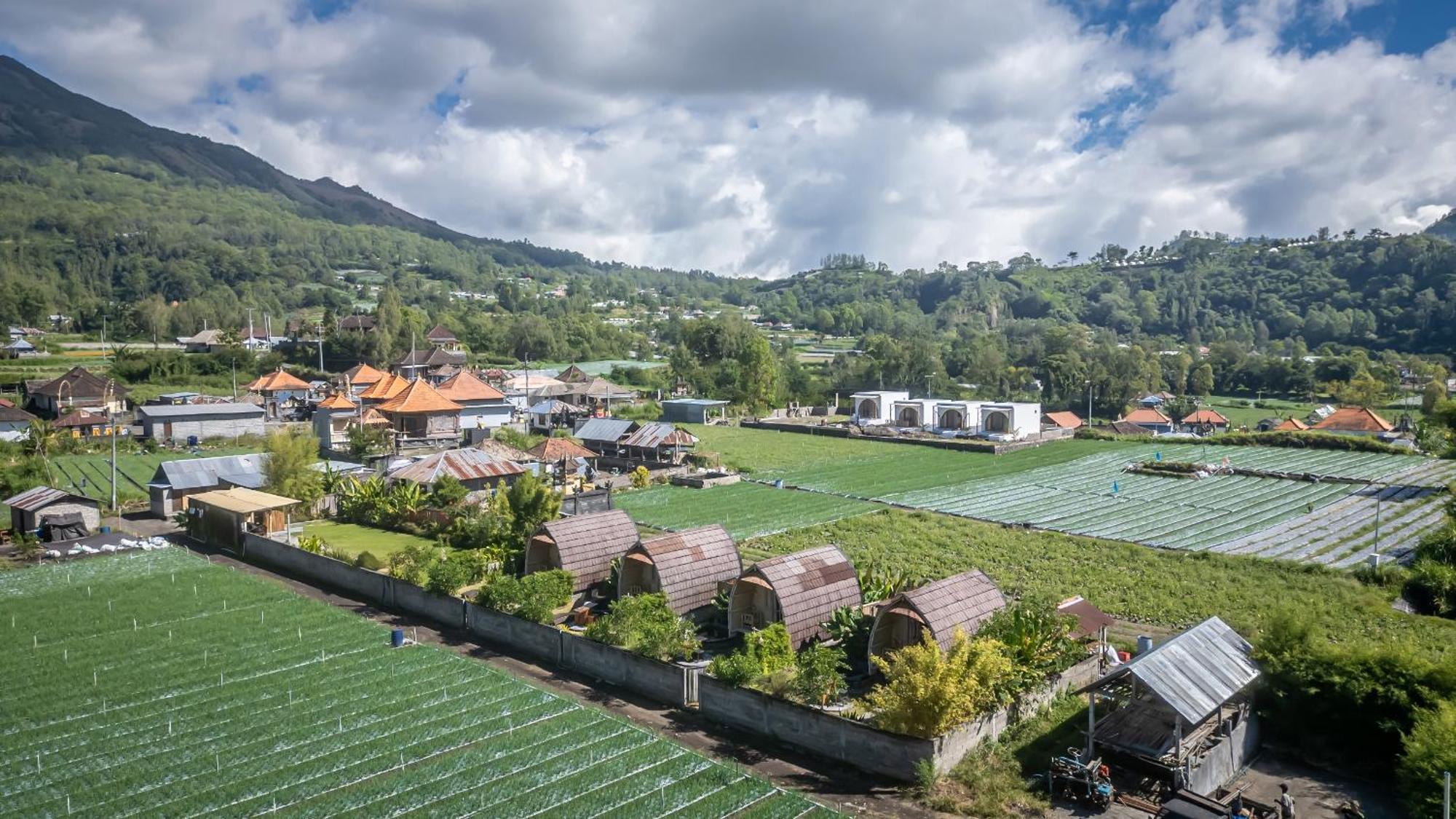 Tegal Bamboo Cottages & Private Hot Spring Baturaja  Exterior foto