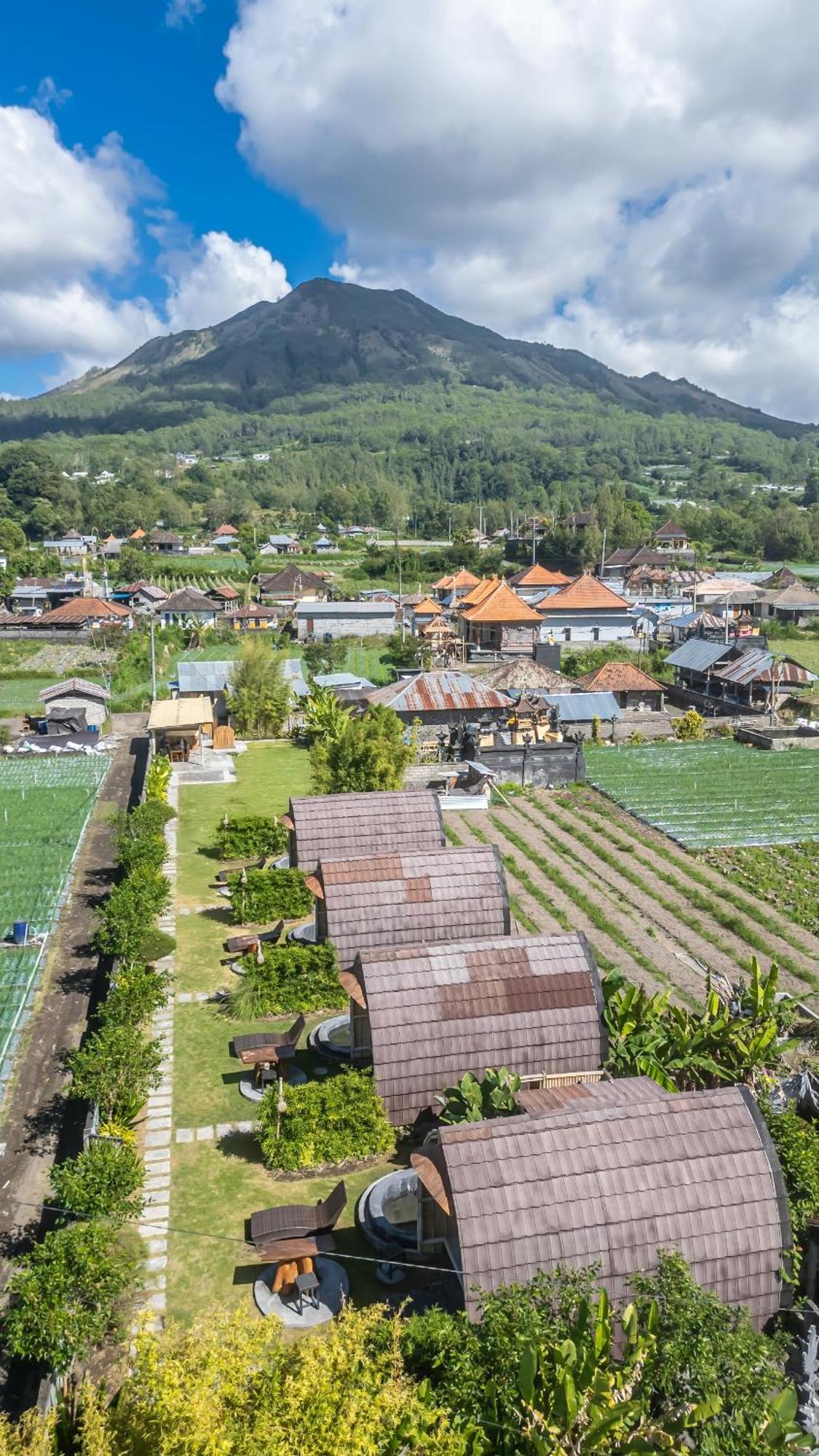 Tegal Bamboo Cottages & Private Hot Spring Baturaja  Exterior foto