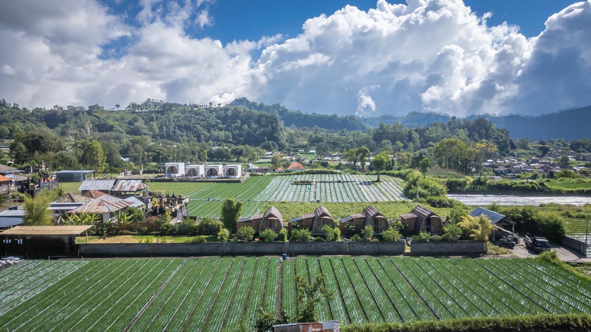 Tegal Bamboo Cottages & Private Hot Spring Baturaja  Exterior foto
