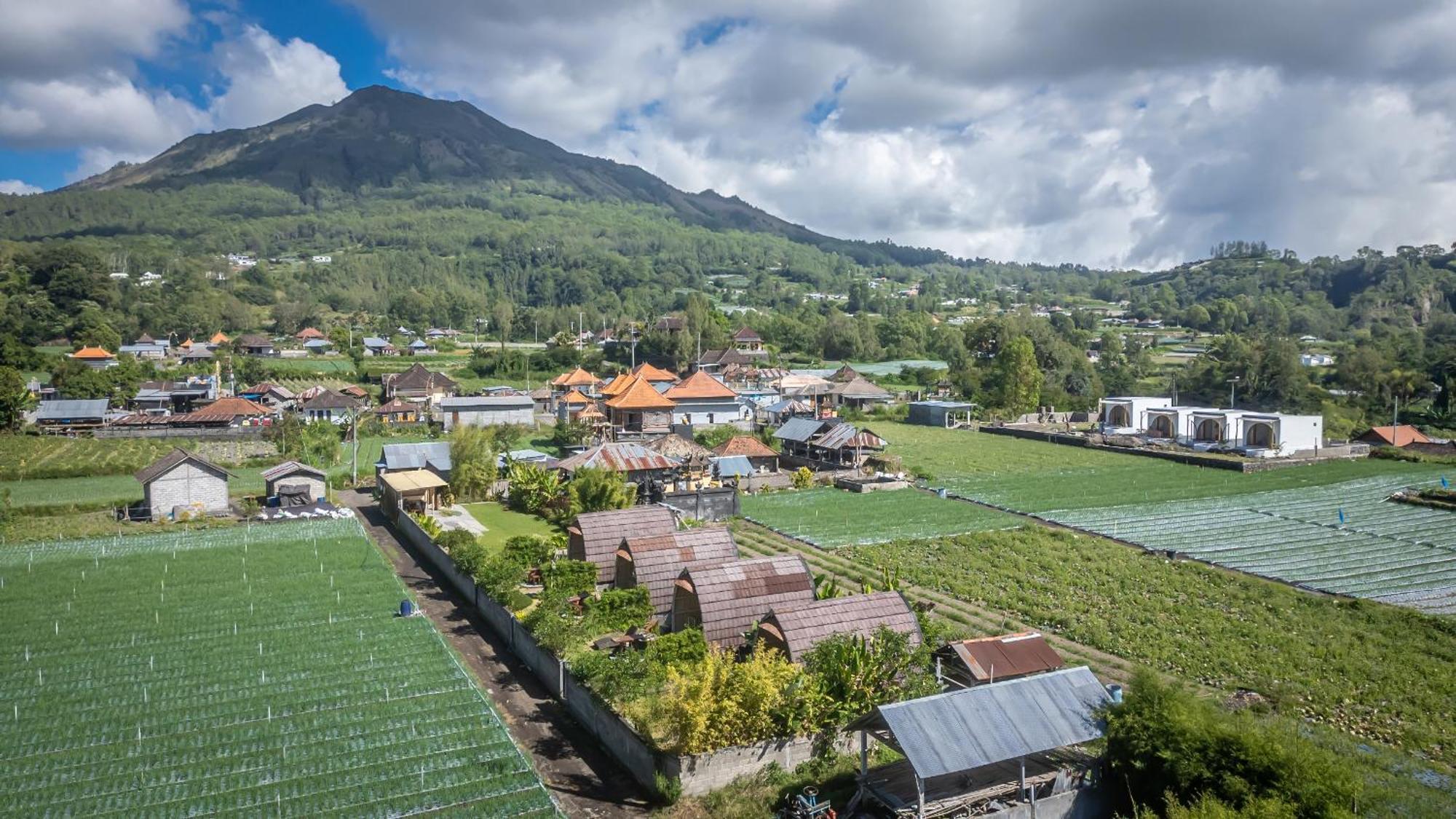 Tegal Bamboo Cottages & Private Hot Spring Baturaja  Exterior foto